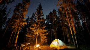 Read more about the article Outback Camping Safety Tips